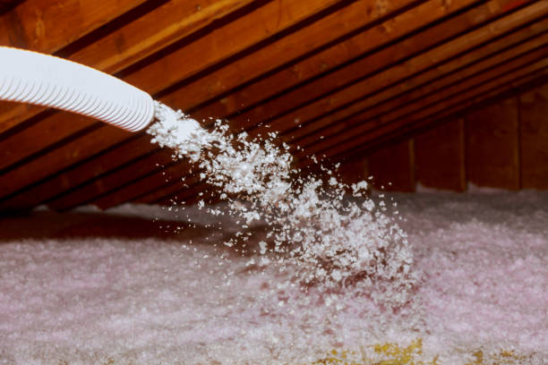 Best Eco-Friendly Insulation in Conway, AR